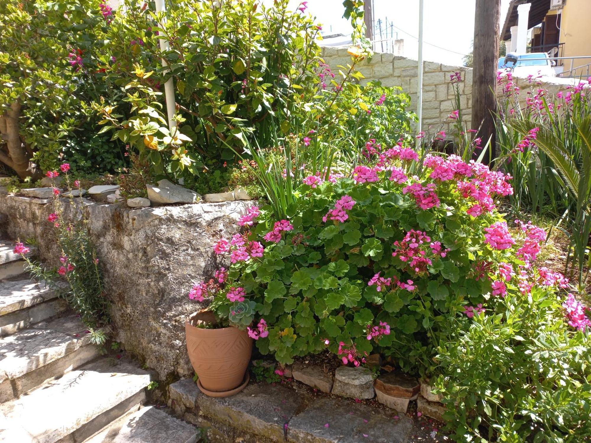 Oneiro House Apartment Kassiopi Exterior photo