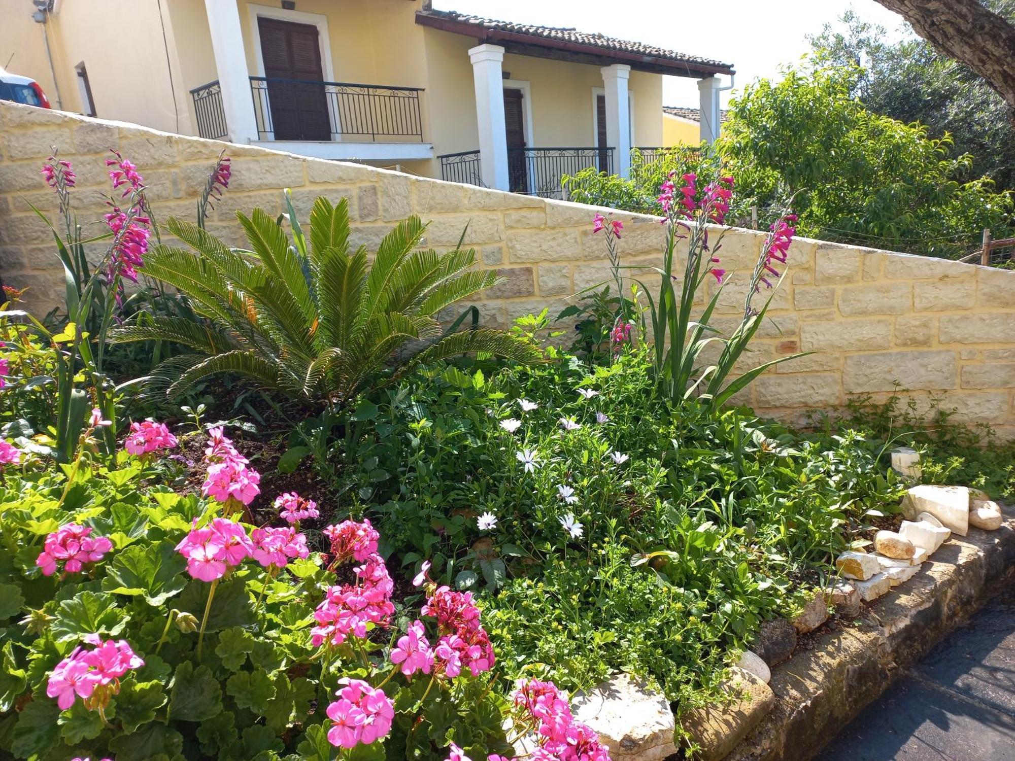 Oneiro House Apartment Kassiopi Exterior photo
